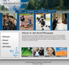 website design onlinestores shoppingcart sites 1webgini