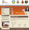 website design onlinestores shoppingcart sites 1webgini