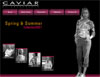 website design onlinestores shoppingcart sites 1webgini